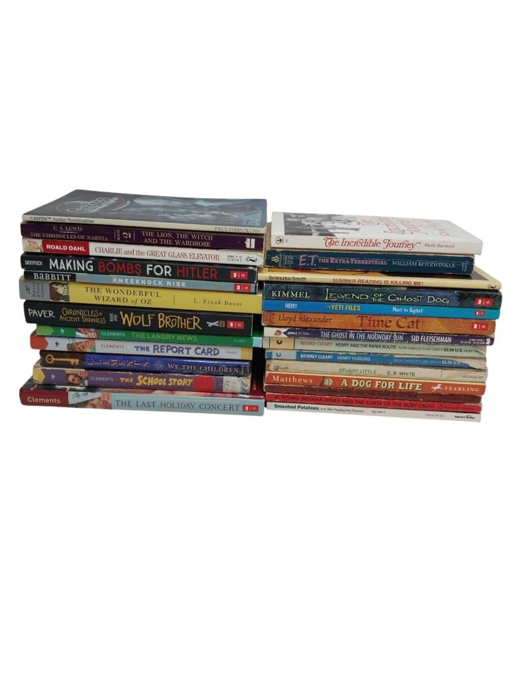 Early Chapter Books Boys Interest Lot of 26 Grade 3-6 Vintage & Modern